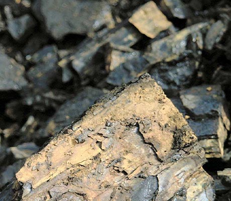 Close-up image of various types of coal