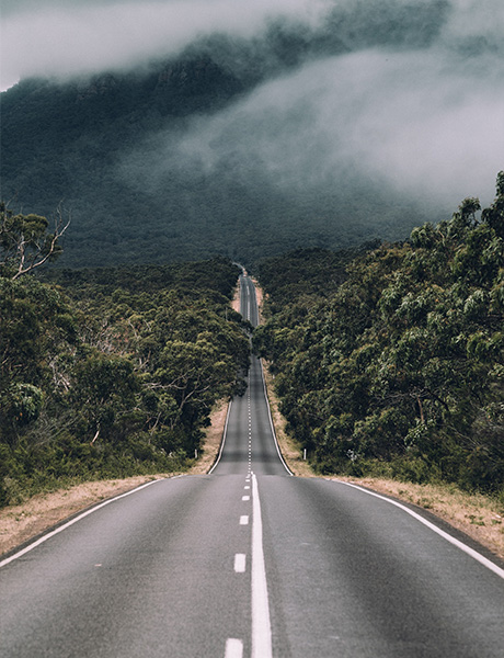 Road leading through green forest in Australia