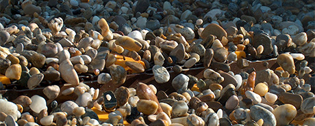 Wet gravel during processing