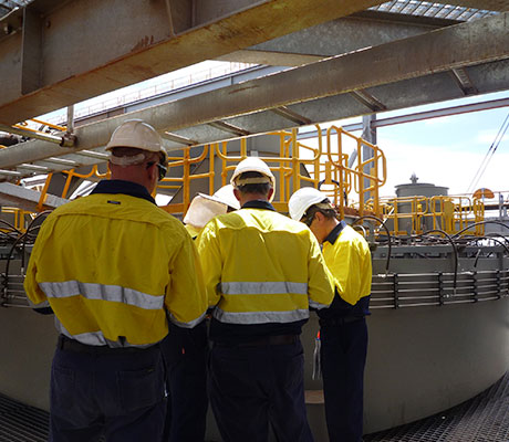 Employees examining a plant