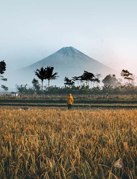 Bild der indonesischen vielfältigen Landschaft