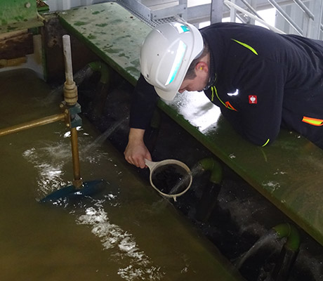 allmineral employee examining minerals