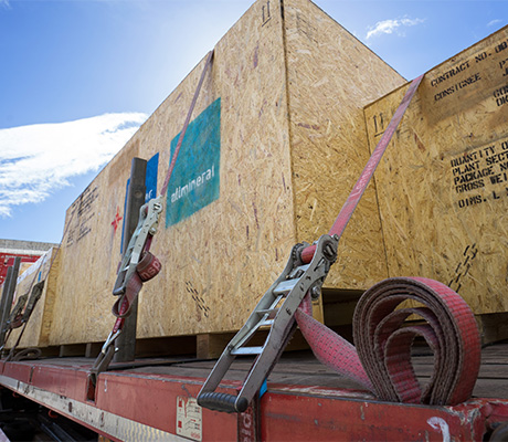 Large wooden crate from allmineral with plant inside