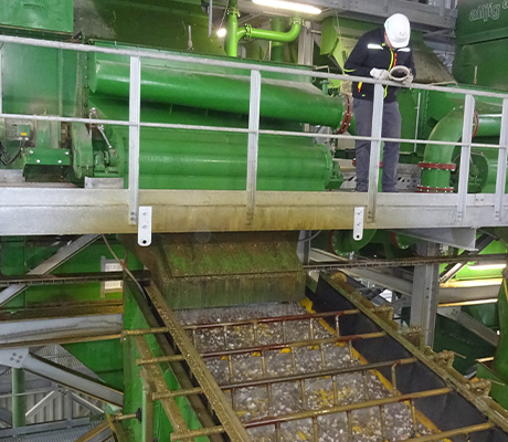 allmineral employee taking a picture of a plant