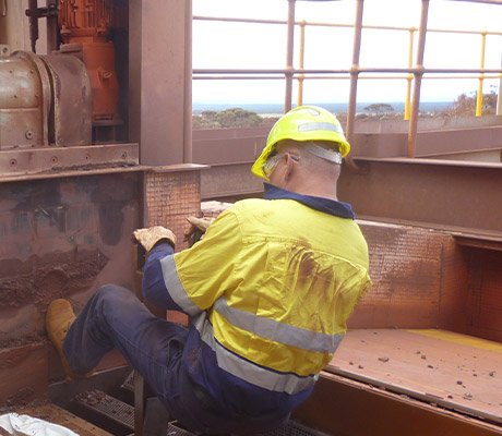 Employee ensuring that a plant is operating correctly