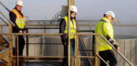 Employees on plant scaffold